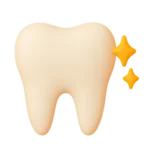 premium dental Health Plan